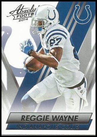 14PAR 12 Reggie Wayne.jpg